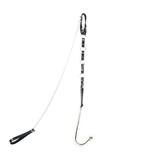 Anal Hooks Hook Anal with Kinky Leash EverydayUse and 5853 Collar 0808